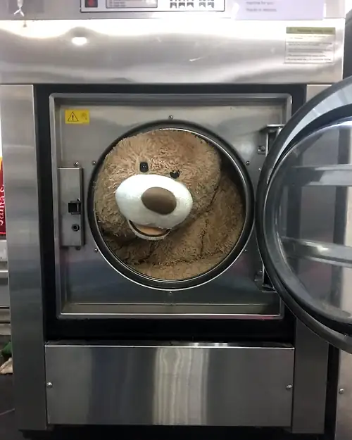 A giant teddy bear fresh out of the wash, filling the open drum of a commercial washer.